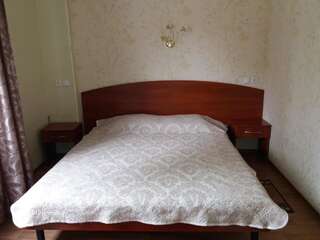 Мини-отель Александрия Харьков Стандартный двухместный номер с 1 кроватью или 2 отдельными кроватями-8