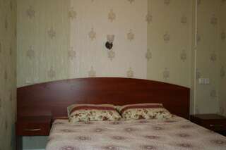 Мини-отель Александрия Харьков Стандартный двухместный номер с 1 кроватью или 2 отдельными кроватями-15